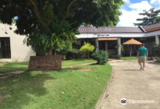 New Susing's Guitar购物图片