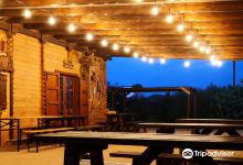 Fattoria Bassa Corte景点图片