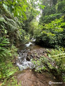 Bosques de Fraijanes-波阿斯