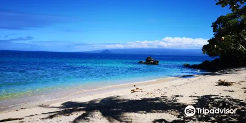 Giant Clam Sanctuary
