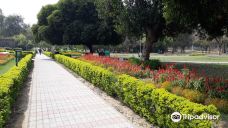 Shanti Kunj Park-昌迪加尔