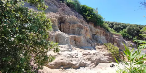 Riserva Naturale di Tor Caldara