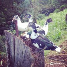 Granja La Cascada-La Frontera