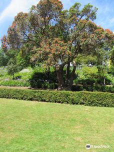Botanical Gardens-Hospital Hill