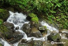 Rio savegre Waterfall景点图片