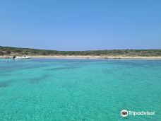 Wild Asinara Park-萨萨里