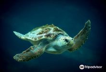 德班乌沙卡水底世界水族馆景点图片