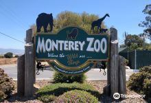 Monterey Zoo景点图片