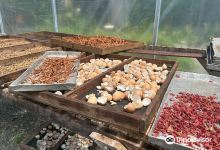Villa Vanilla Spice Tour and Shop景点图片