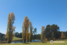 Wentworth Golf Club美食图片