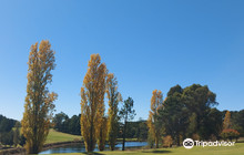 Wentworth Golf Club餐厅图片