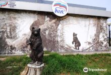 Sculpture the Bear景点图片