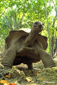 阿默斯福特动物园-阿默斯福特