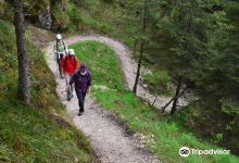 Escursione alla Cima del Monte Balzo passando per Monte Cavone景点图片