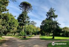 Benalla Botanic Gardens景点图片