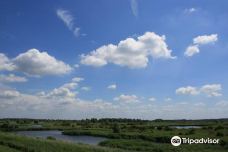 Oostvaardersplassen-阿尔梅勒