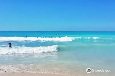 Saadiyat Public Beach