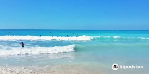 Saadiyat Public Beach