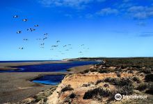 Caleta Valdes景点图片