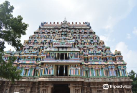 Thyagarajaswamy Temple景点图片