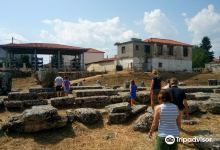 Archaeological Site of Tegea景点图片