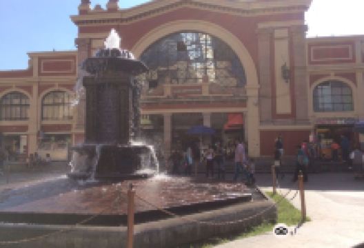 Mercado Morelos景点图片