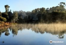 Gleeson Wetlands景点图片