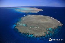 Opal Reef-昆士兰