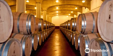 Bodegas Ramirez de la Piscina