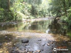 Cedar Bay National Park-库克敦