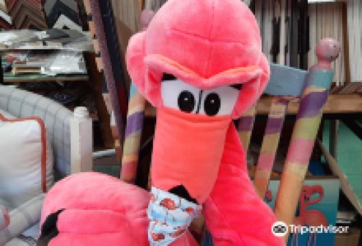 The Official Florida Flamingo Museum景点图片
