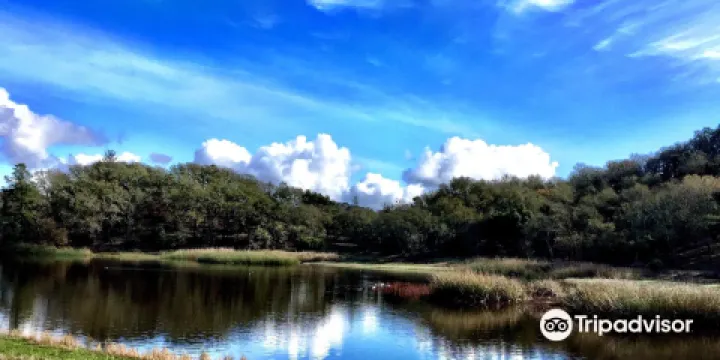 Foothill Regional Park