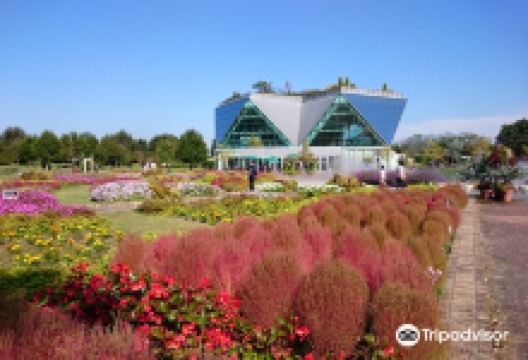 Flower Park景点图片