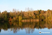 Southwater Country Park景点图片