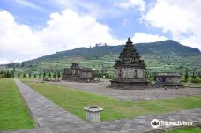 Arjuna Temple-Dieng Kulon