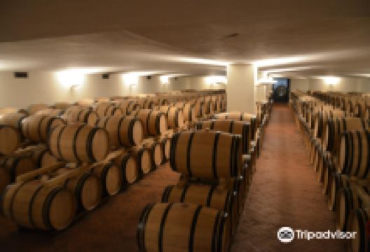 Fontodi Winery景点图片