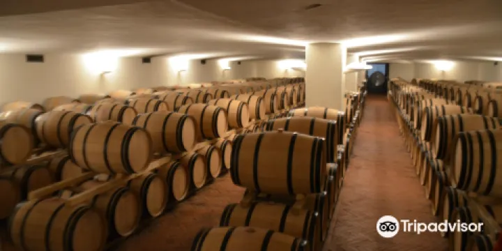 Fontodi Winery