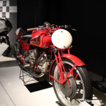 阿尔考本达斯图片