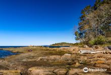 Beachcomber Regional Park景点图片