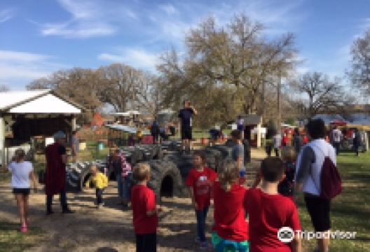 Nelson Farm景点图片