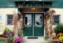 Cherry Grove Farm景点图片