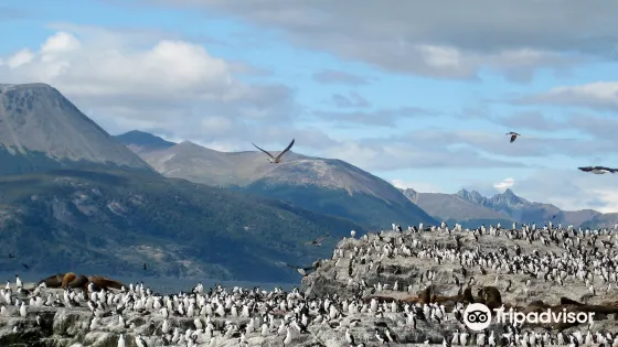 Isla de Los Pajaros
