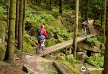 Rychleby Trails景点图片