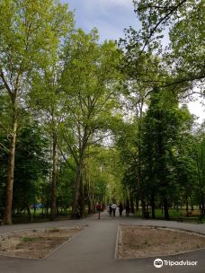 Park of Yuriy Gagarin-辛菲罗波尔