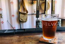 La Selva Cerveza Artesanal Brewery景点图片