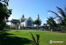 Minor Basilica and National Shrine of Our Lady of Peñafrancia景点图片