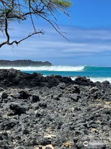Lava Fields-茂宜县