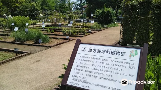 東京都薬用植物園