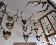 Zamek Orlik-皮塞克