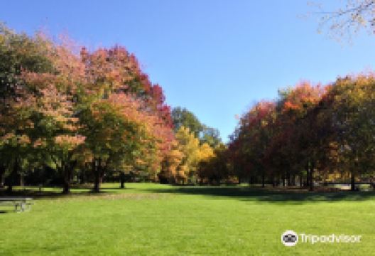 Lake Sammamish State Park景点图片
